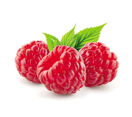 Framboesas COOPCHAPADA